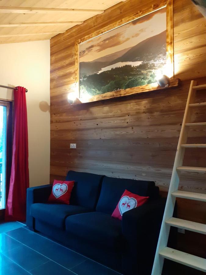 Esprit Myrtille Balcon Vue Lac Gérardmer Dış mekan fotoğraf